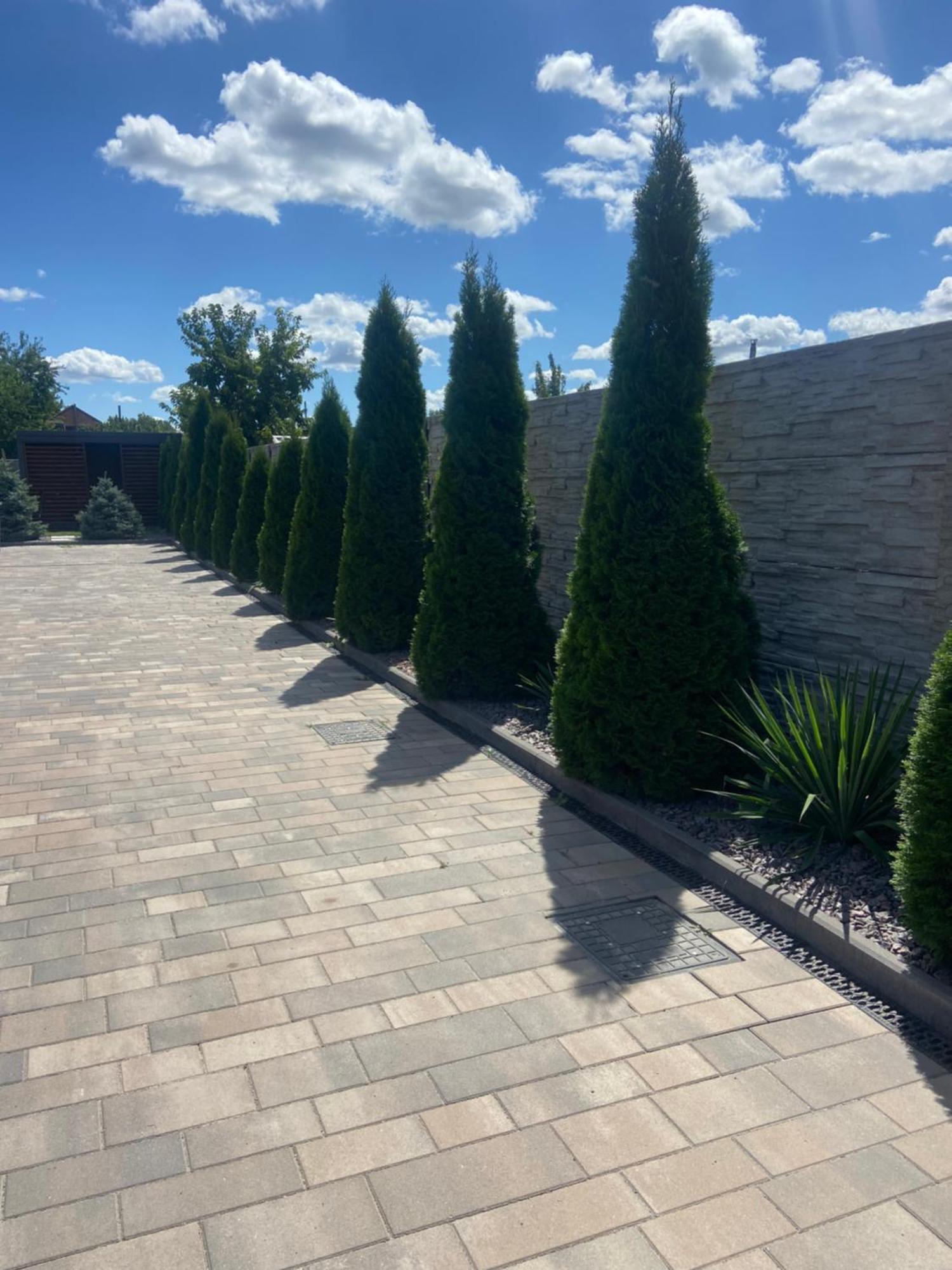 Вулиця 8-Го Березня Апартаменты Myrhorod Exterior photo